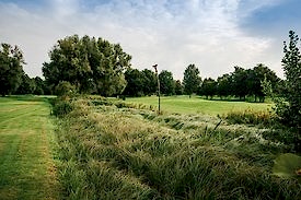 Feuchtwiesen im Golf Club St. Leon-Rot