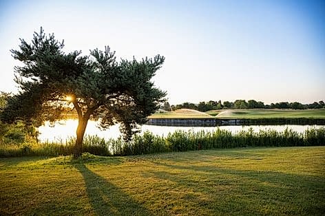 Baum mit Sonne und Teich im Hintergrund